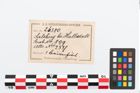 Etikett zu Bronzebrillenfibel (NHMW-PRAE-026380)